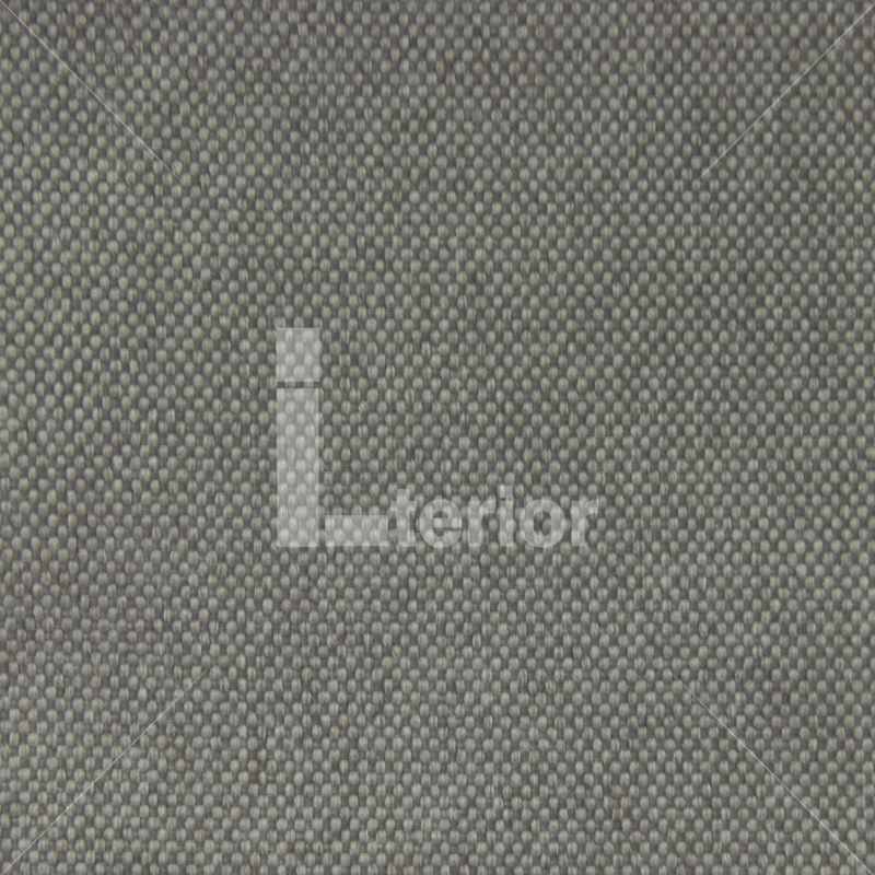 img-v2
