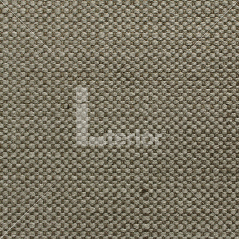 img-v2