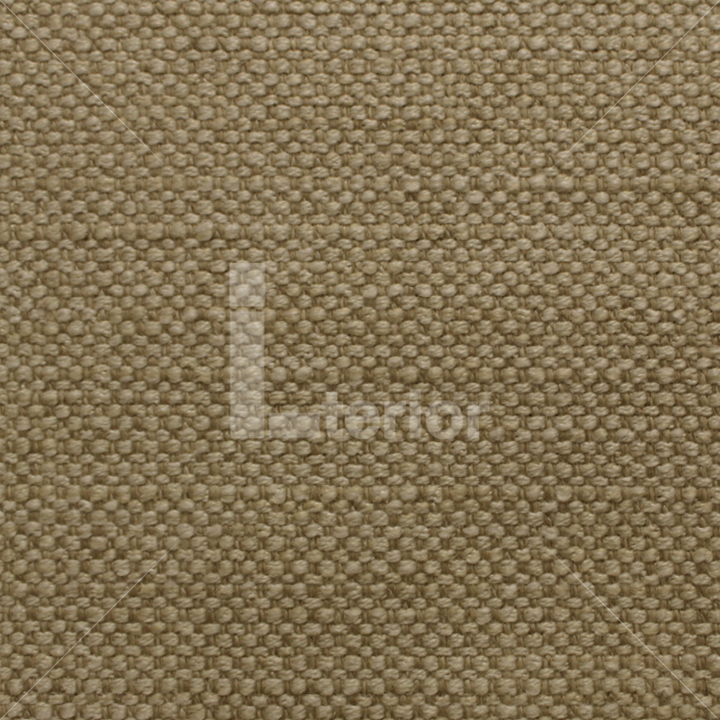 img-v2