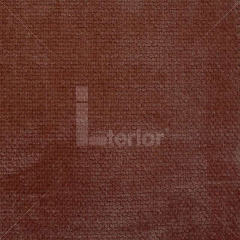 img-v2