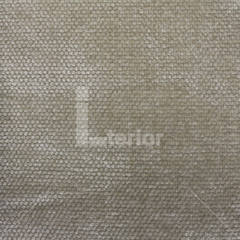 img-v2
