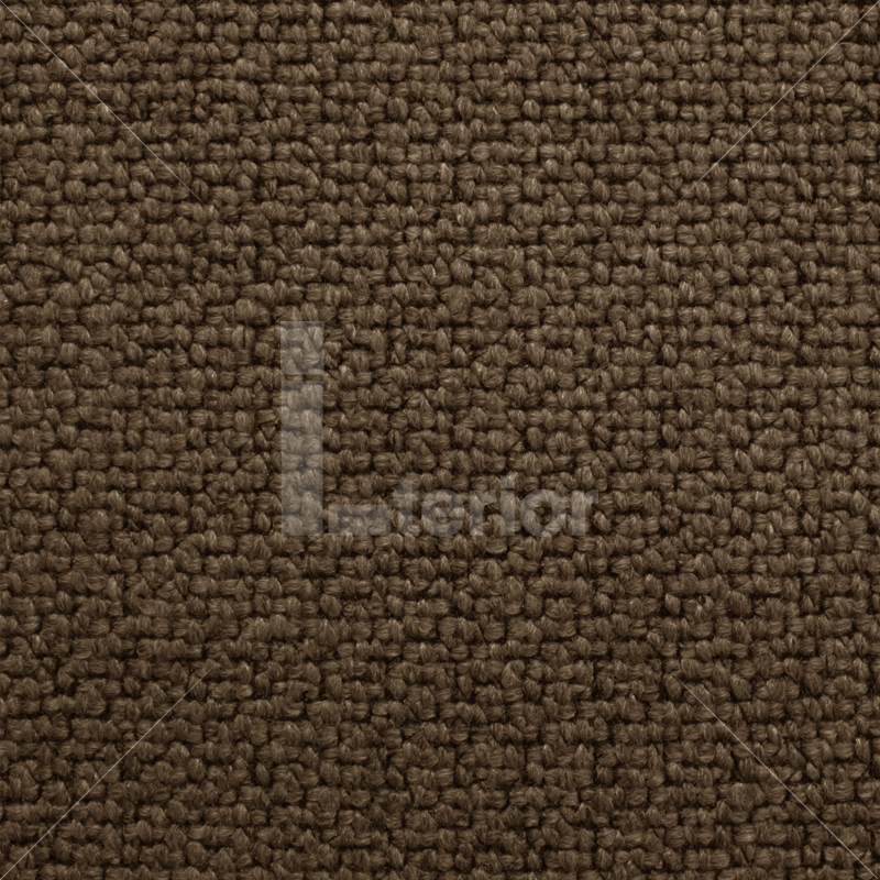 img-v2