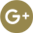 Google Plus