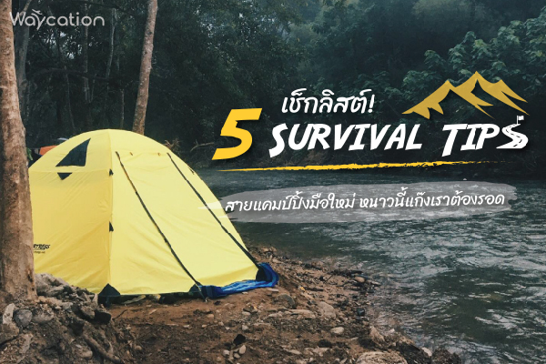 เช็กลิสต์! 5 Survival Tips สายแคมป์ปิ้งมือใหม่ หนาวนี้แก๊งเราต้องรอด