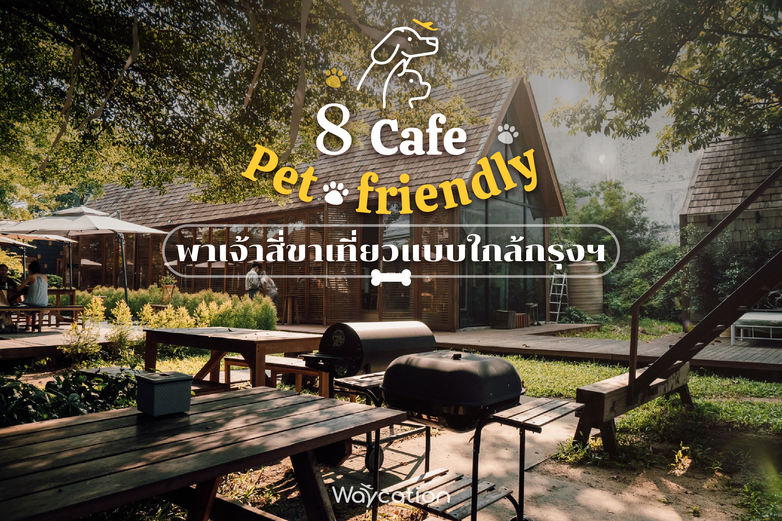 8 Cafe Pet-friendly พาเจ้าสี่ขาเที่ยวแบบใกล้กรุงฯ
