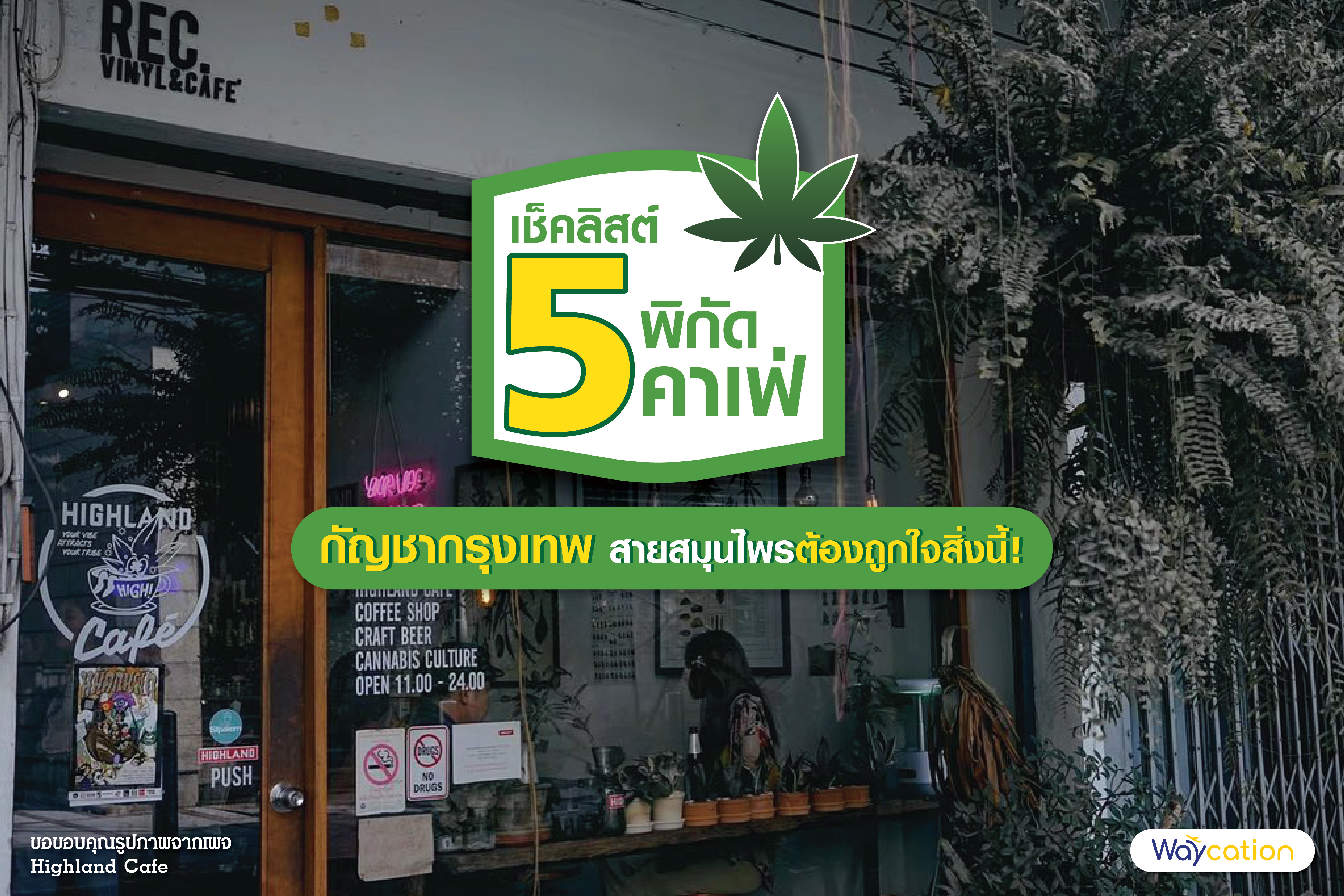 เช็คลิสต์ 5 พิกัดคาเฟ่ กัญชากรุงเทพ สายสมุนไพรต้องถูกใจสิ่งนี้!