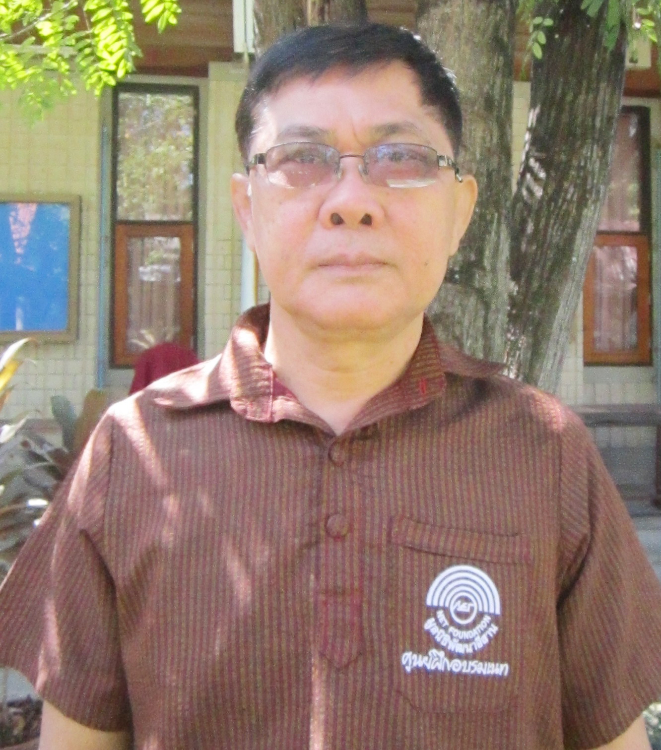 Owl Image