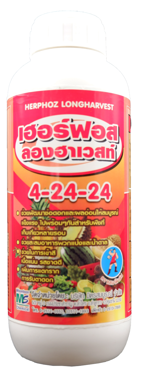 เฮอร์ฟอส ลองฮาเวสท์