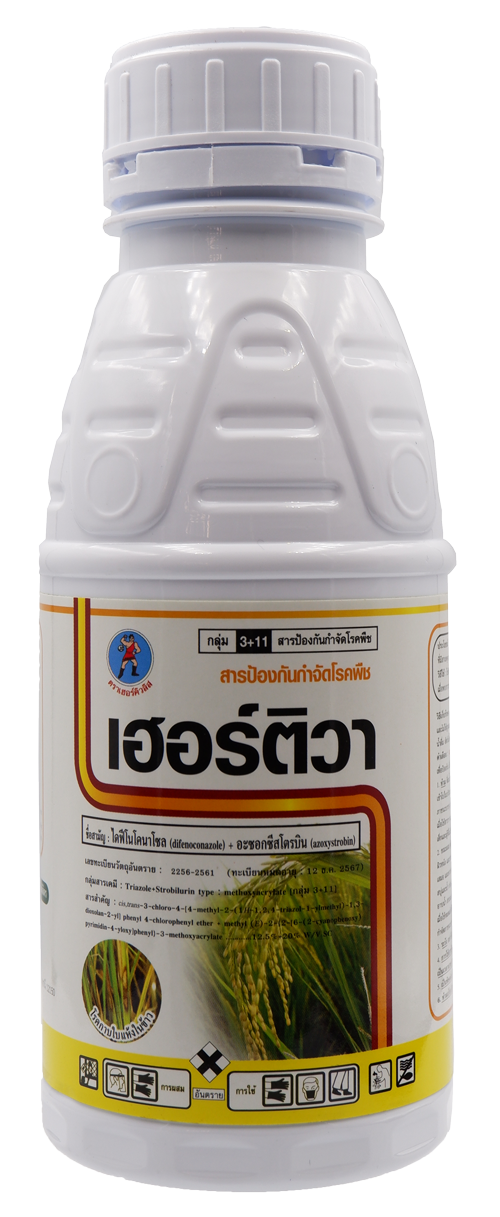 เฮอร์ติวา
