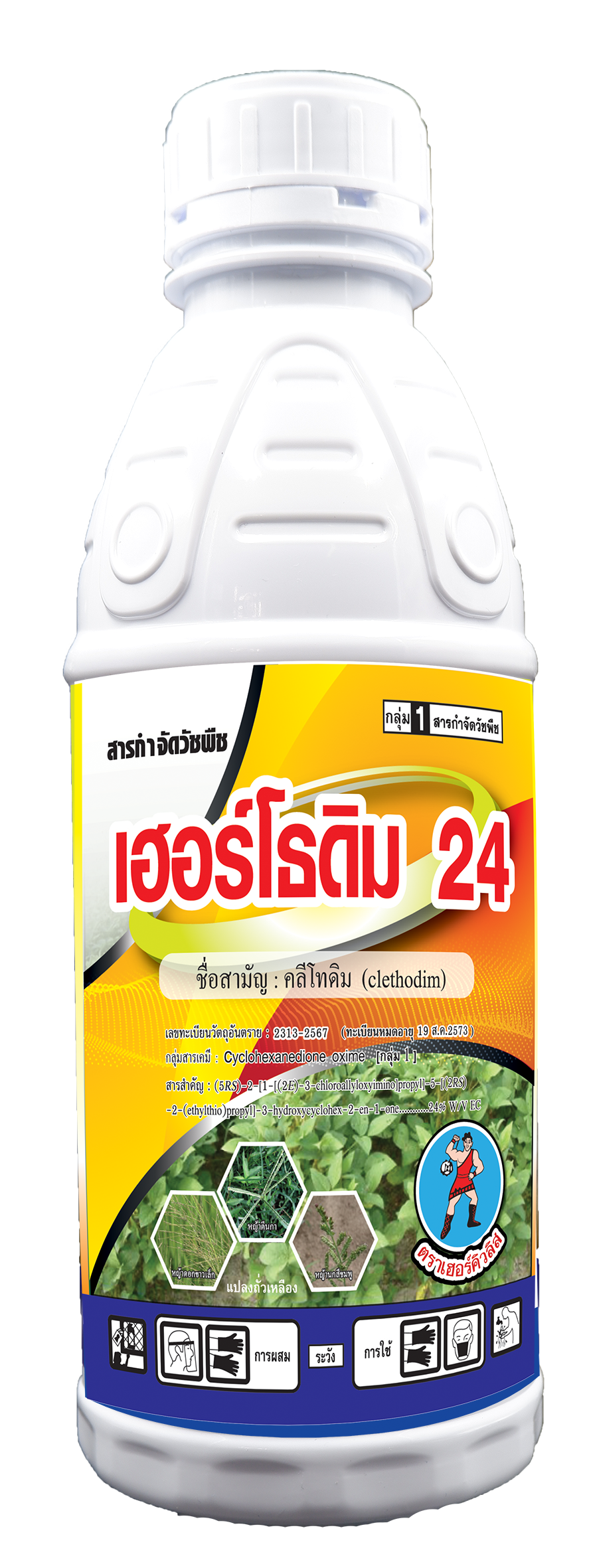 เฮอร์โธดิม 24