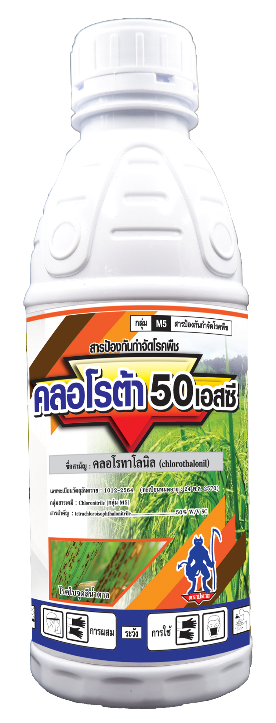 คลอโรต้า 50 เอสซี