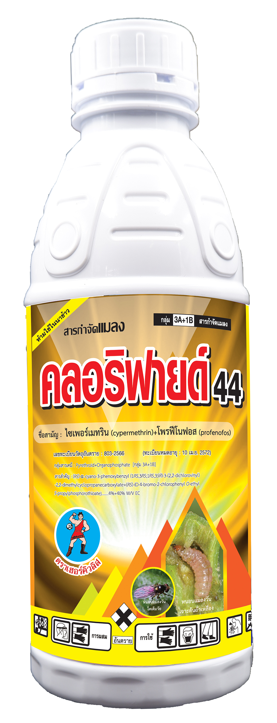 คลอริฟายด์ 44