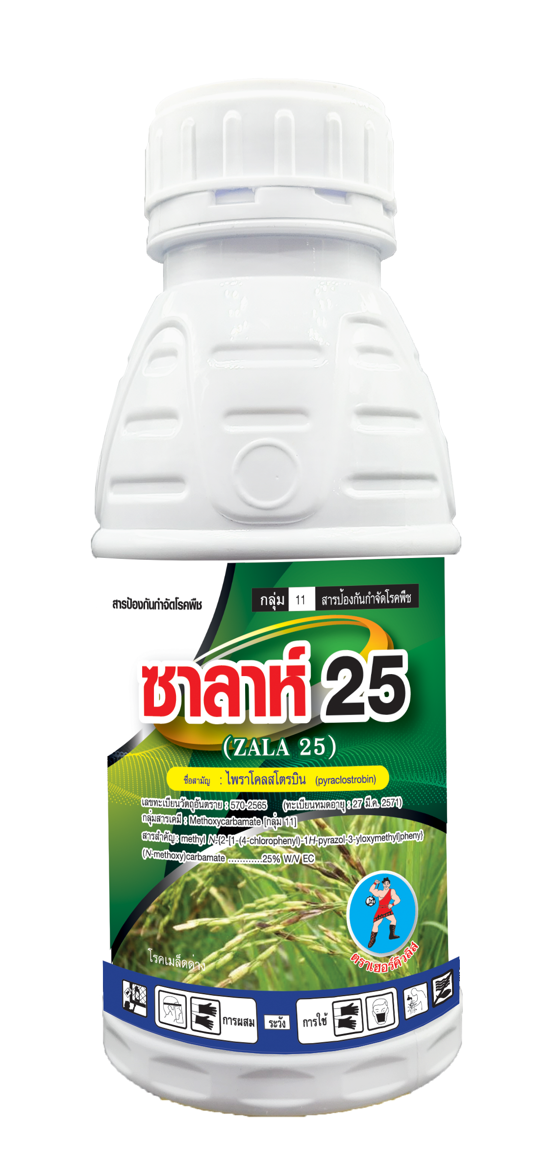 ซาลาห์ 25