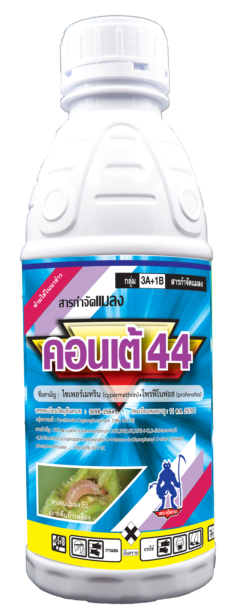 คอนเต้ 44